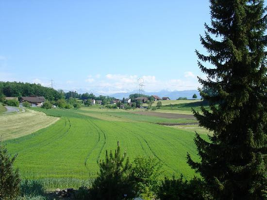 Botanischer Garten-Grüningen必去景点