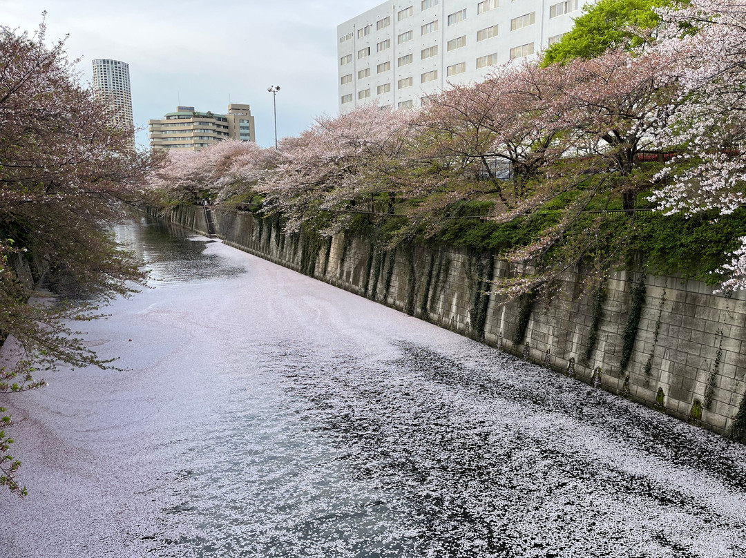 Nakameguro Park-Nakameguro必去景点