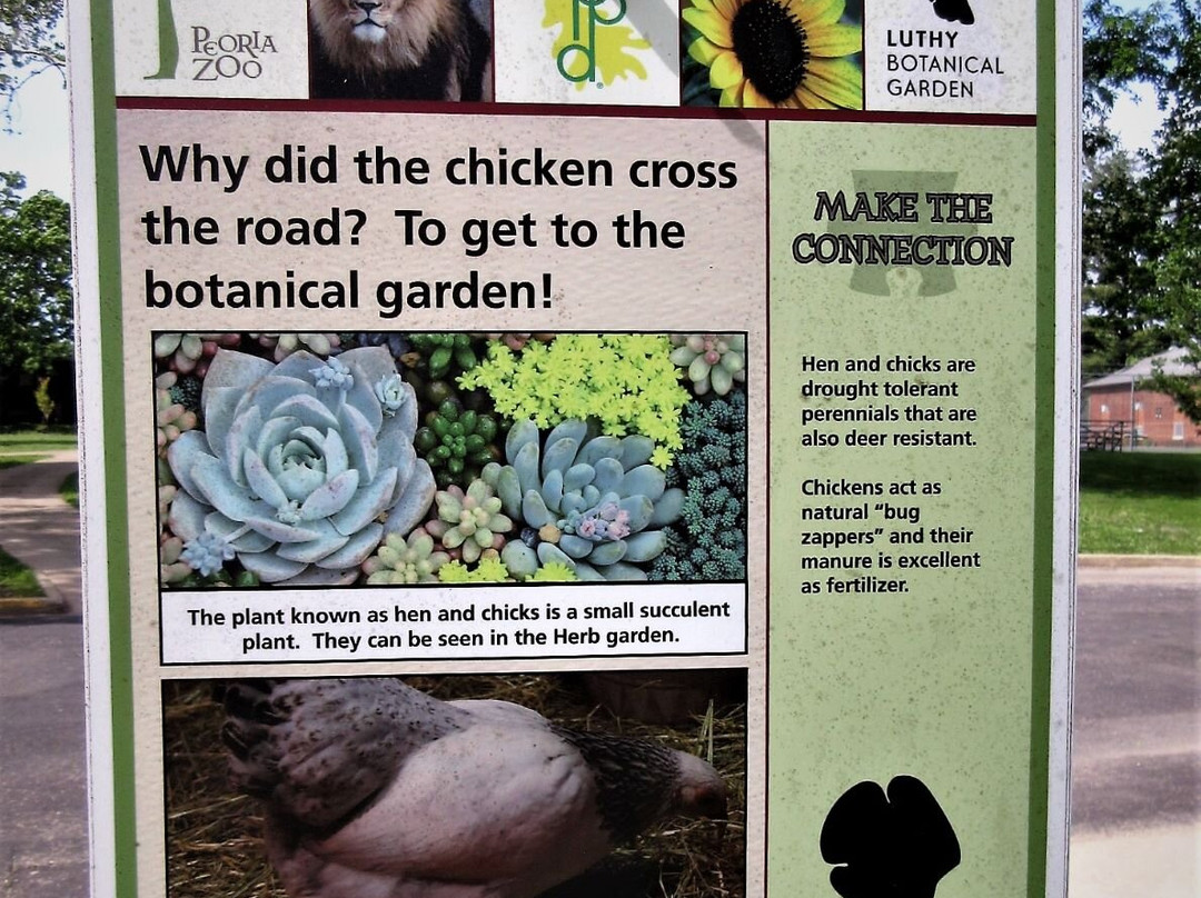 Glen Oak Park-皮奥里亚必去景点