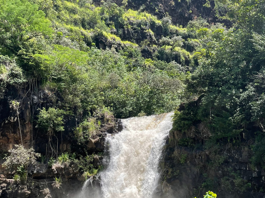 North Shore Beach Bus-火奴鲁鲁必去景点
