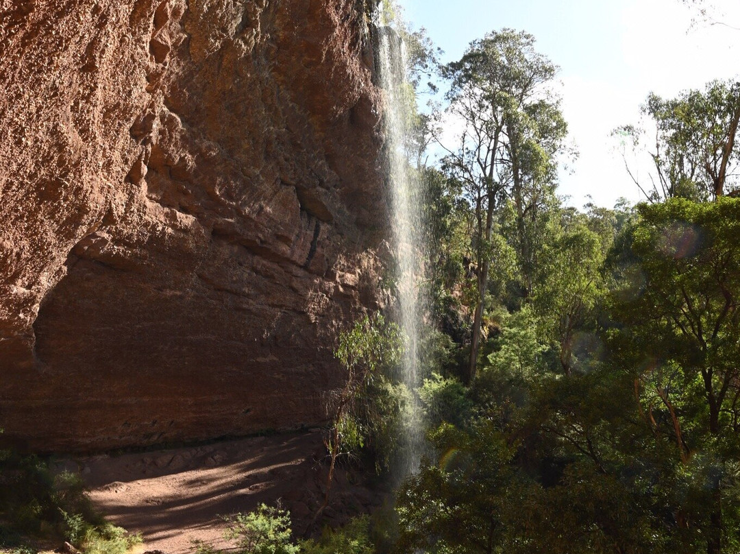 Paradise Falls景点图片