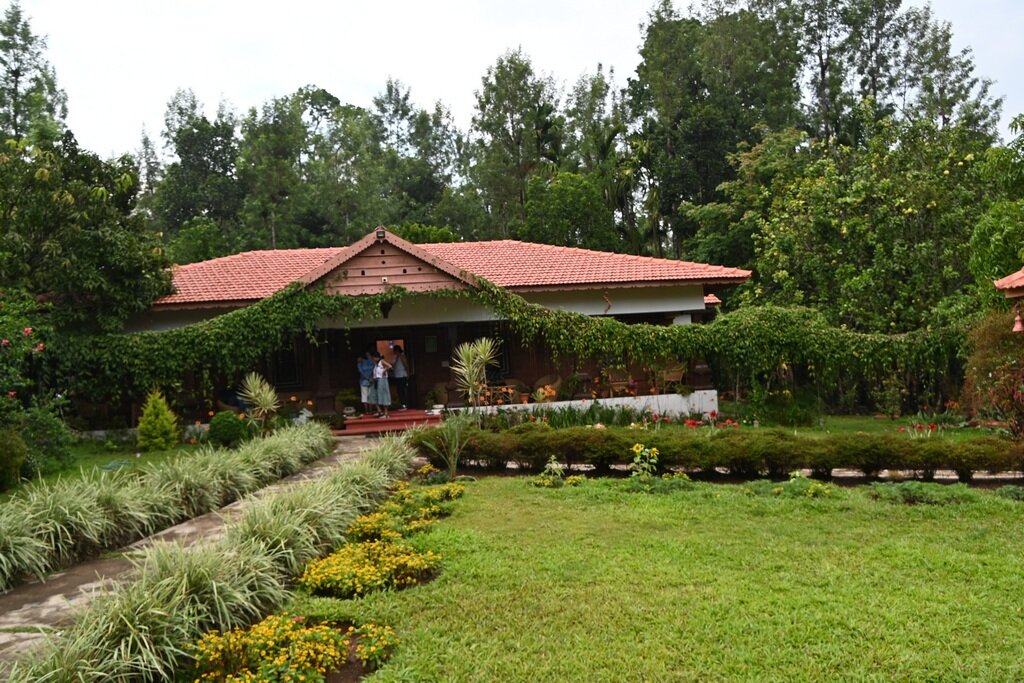 Little Jungle Home Stay-浴室
