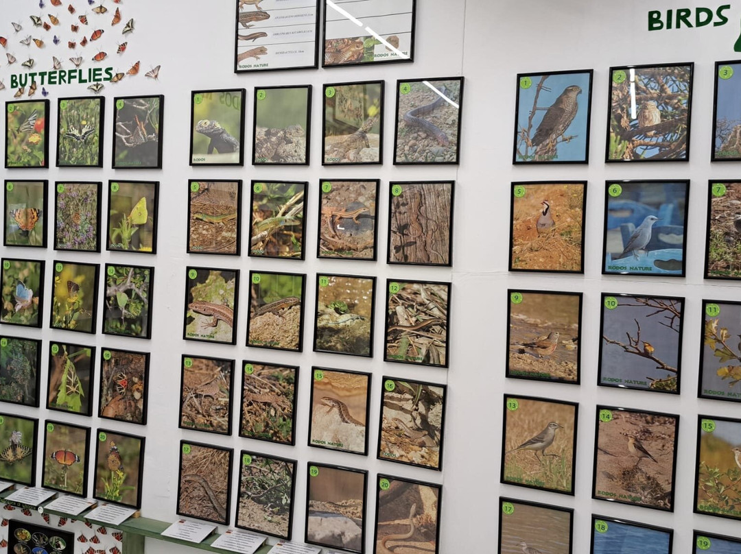 Rodos Nature - Folklore Museum景点图片