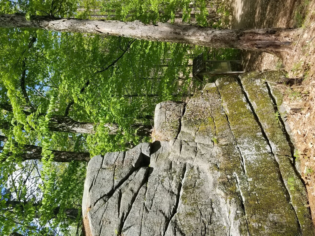 Redemption Rock-Princeton必去景点