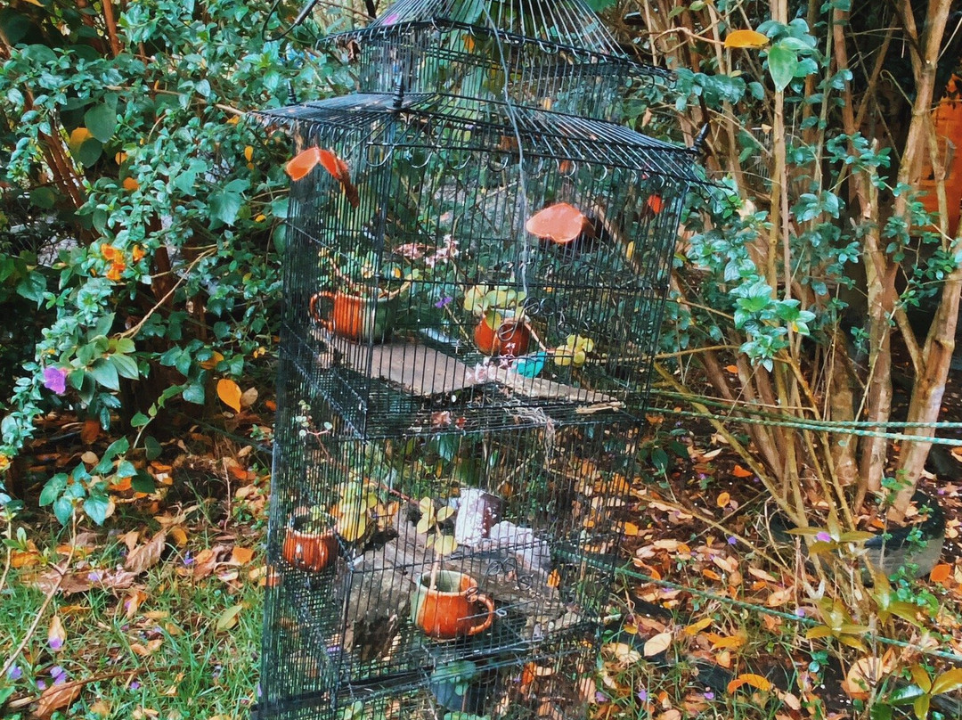 Bio Parque Monarca-Tenjo必去景点