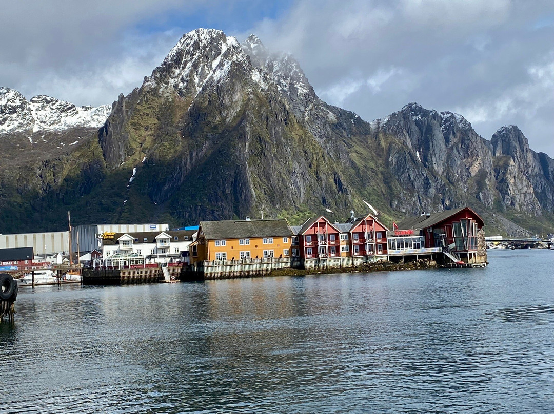 Trollfjord Cruise & Sea Eagle Safari景点图片