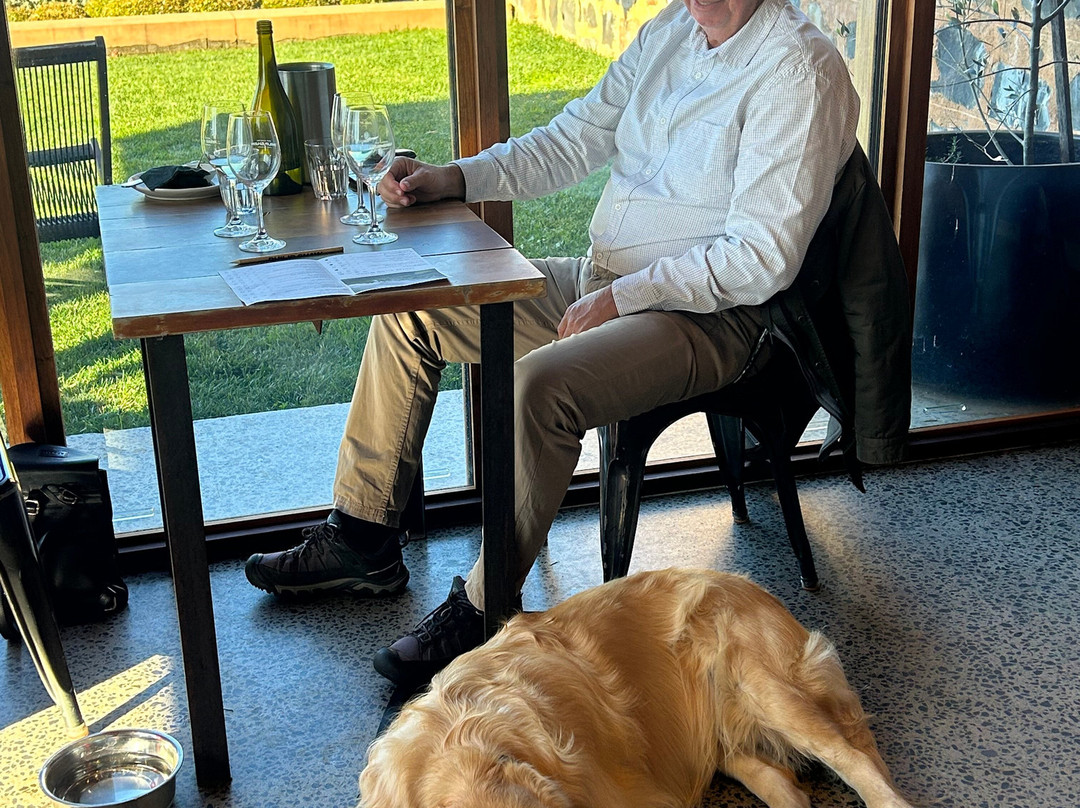 Philip Shaw Wines Cellar Door-奥兰治必去景点