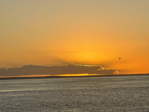 Fraser Island Boat Charters-赫维湾必去景点