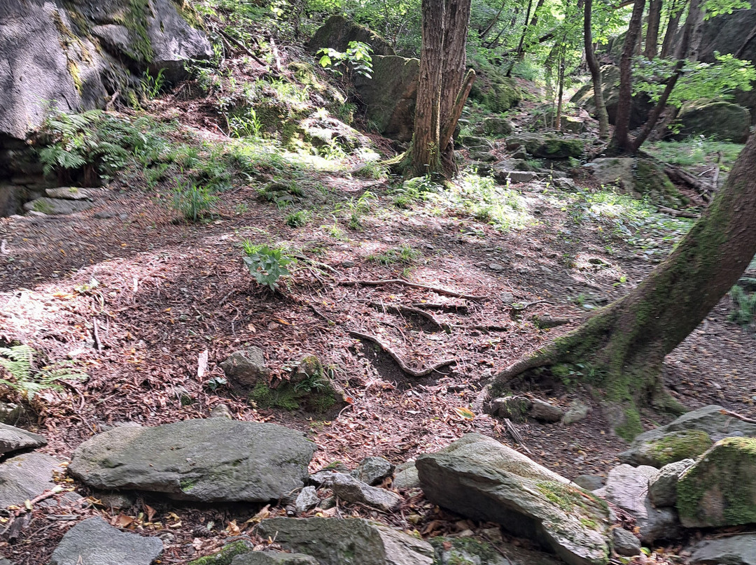 Parco delle Marmitte dei Giganti-Chiavenna必去景点
