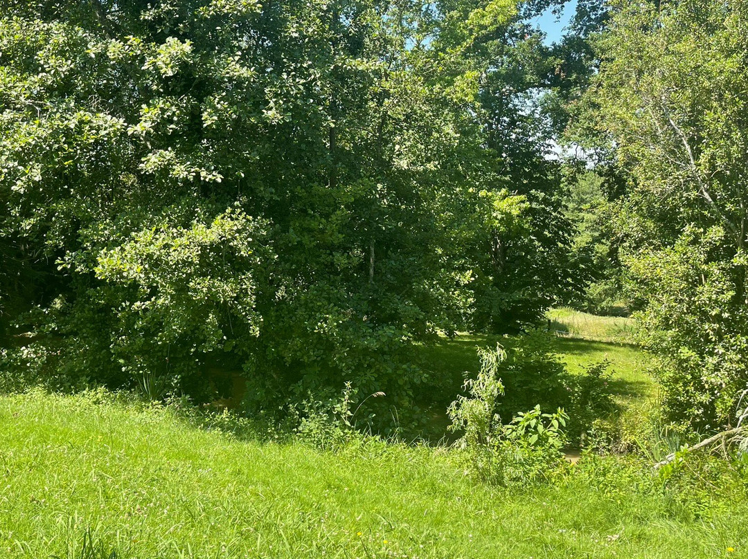 Au Petit Bernerot - Les Gîtes de l'Arbre du Voyageur主图