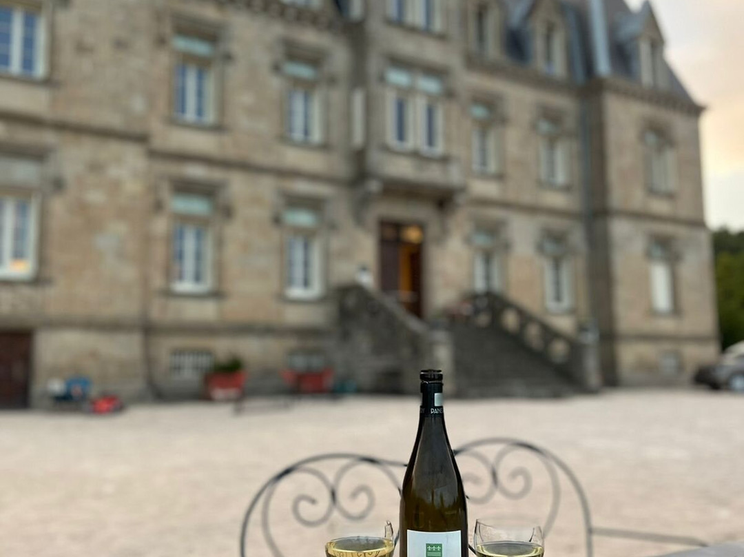 Chateau des Faugs主图