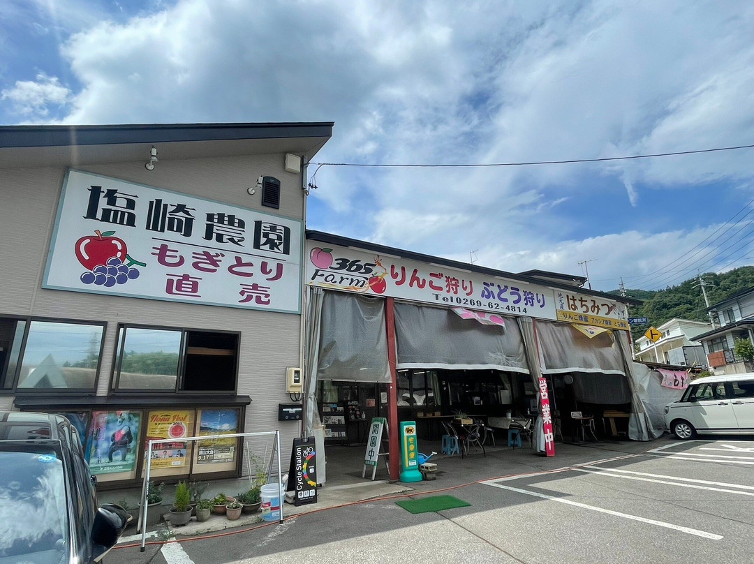 NTA farm fruits land! by Shiozakinoen-饭山市必去景点