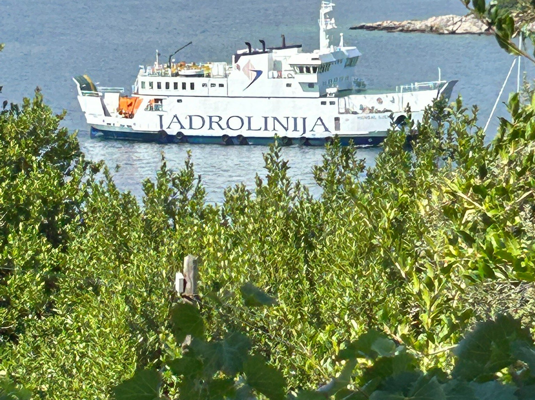 Guest House Oreb主图