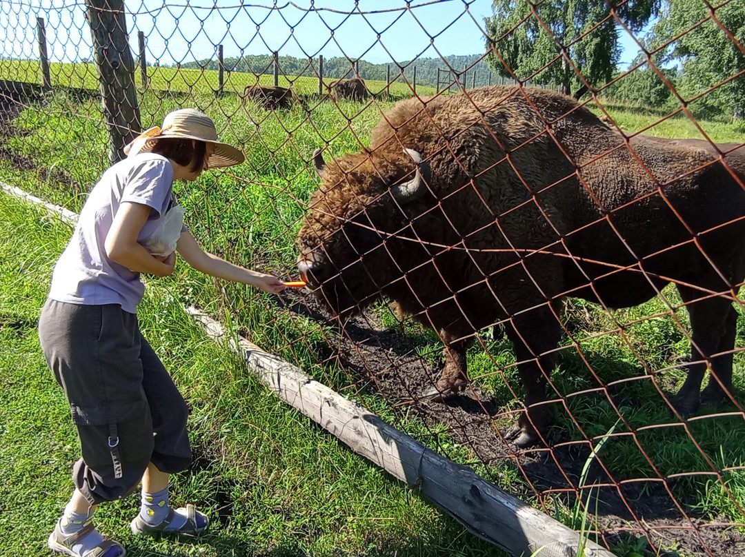 Bison Sanctuary景点图片