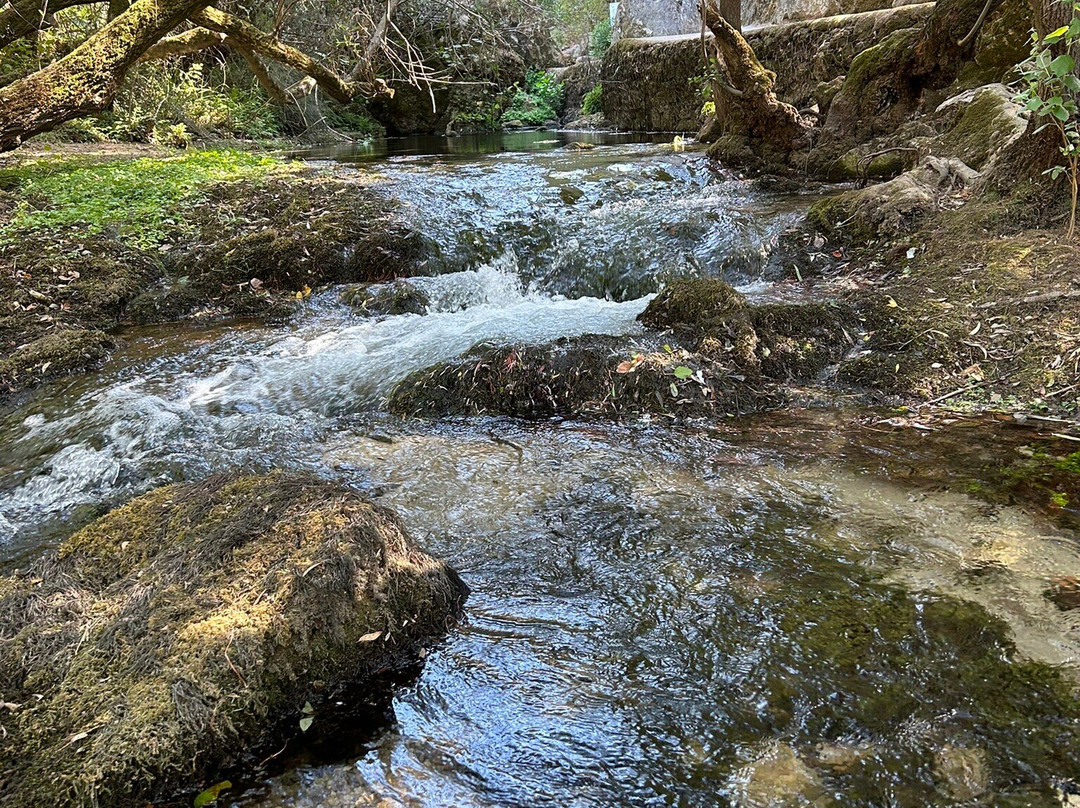 Sardegna-Ambiente Escursioni Day Hikes-Dorgali必去景点