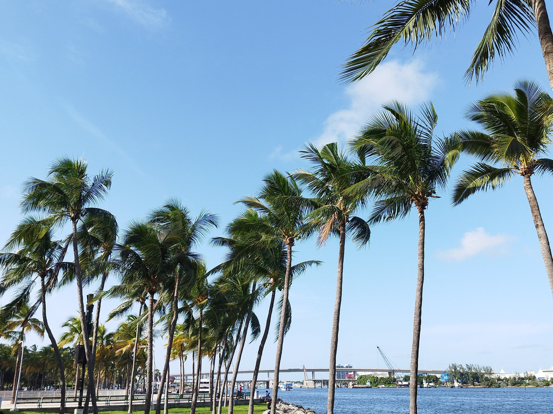 Miami Beach Marina景点图片