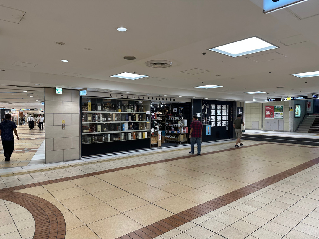 Liquors Hasegawa Honten-Yaesu必去景点