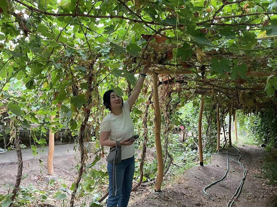 Bafeng Retreat at Turpan