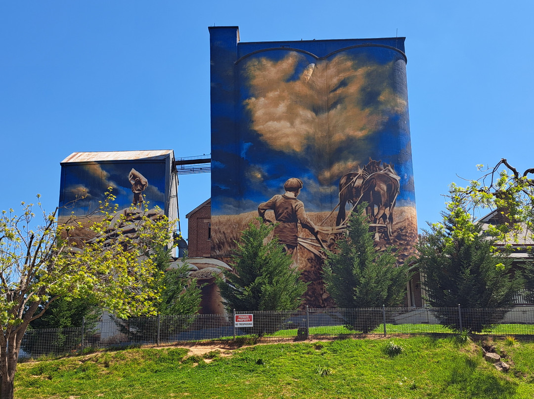 Harden Murrumburrah Silo Art By Heesco-Harden-Murrumburrah必去景点