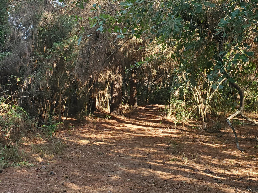 Kleb Woods Nature Preserve-Tomball必去景点