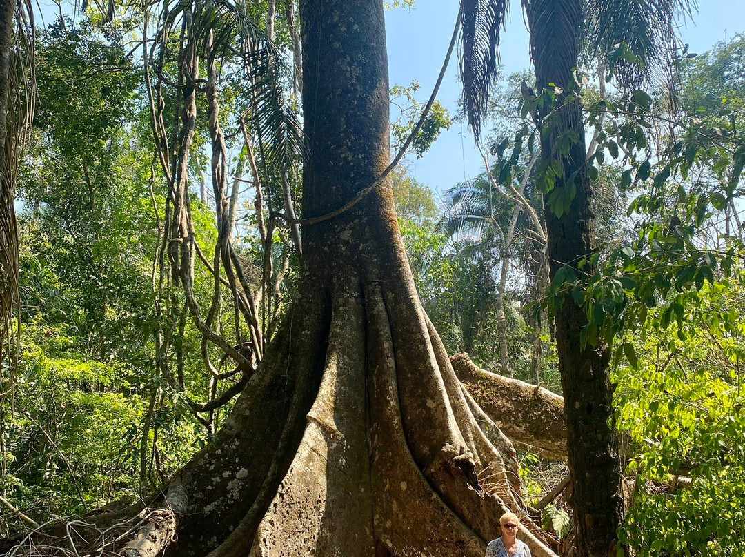 Tambopata National Reserve景点图片