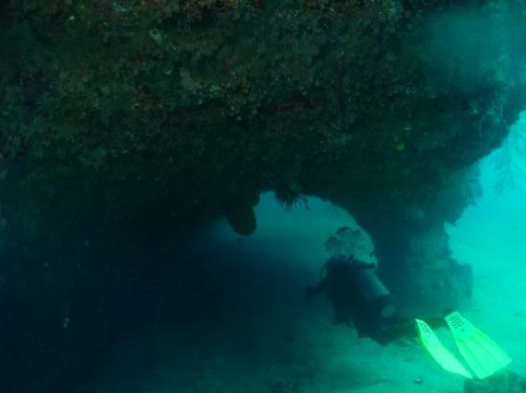 Northern Coast Diving-苏莎亚必去景点