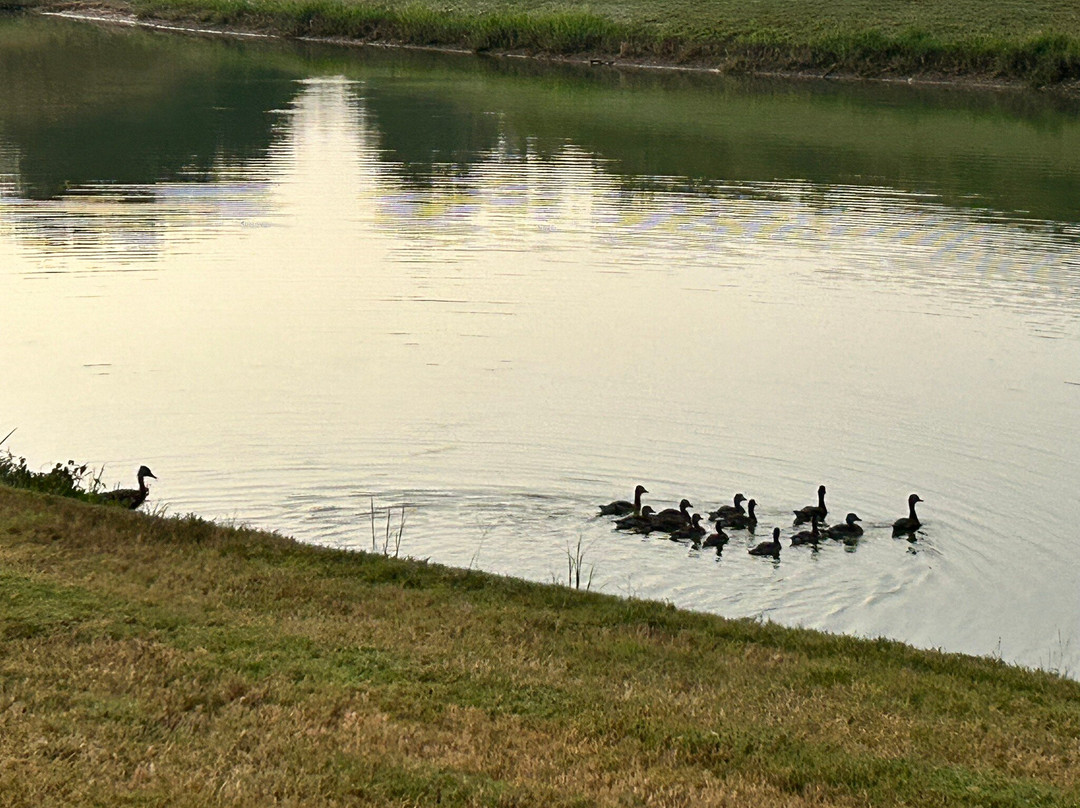 Tropic Hideaway Rv Resort