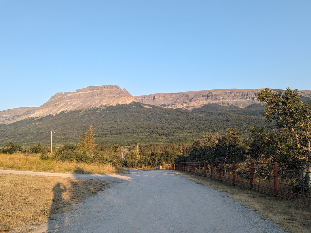 Johnson's of St. Mary主图