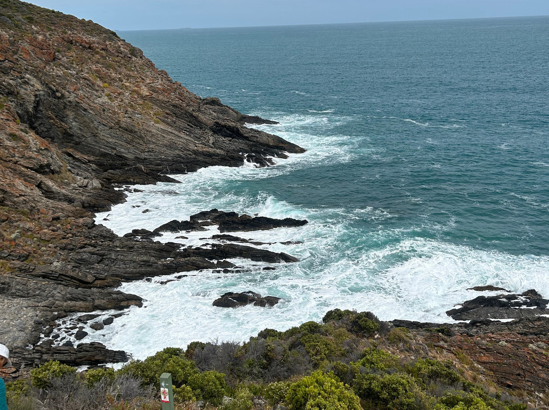 Southern Ocean Walk景点图片