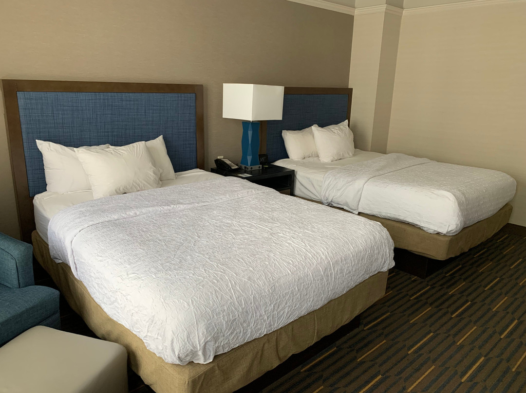 水牛城市中心汉普顿套房酒店主图