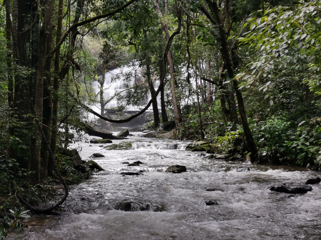 Thai Basic Stay - Day Tours-夜林必去景点