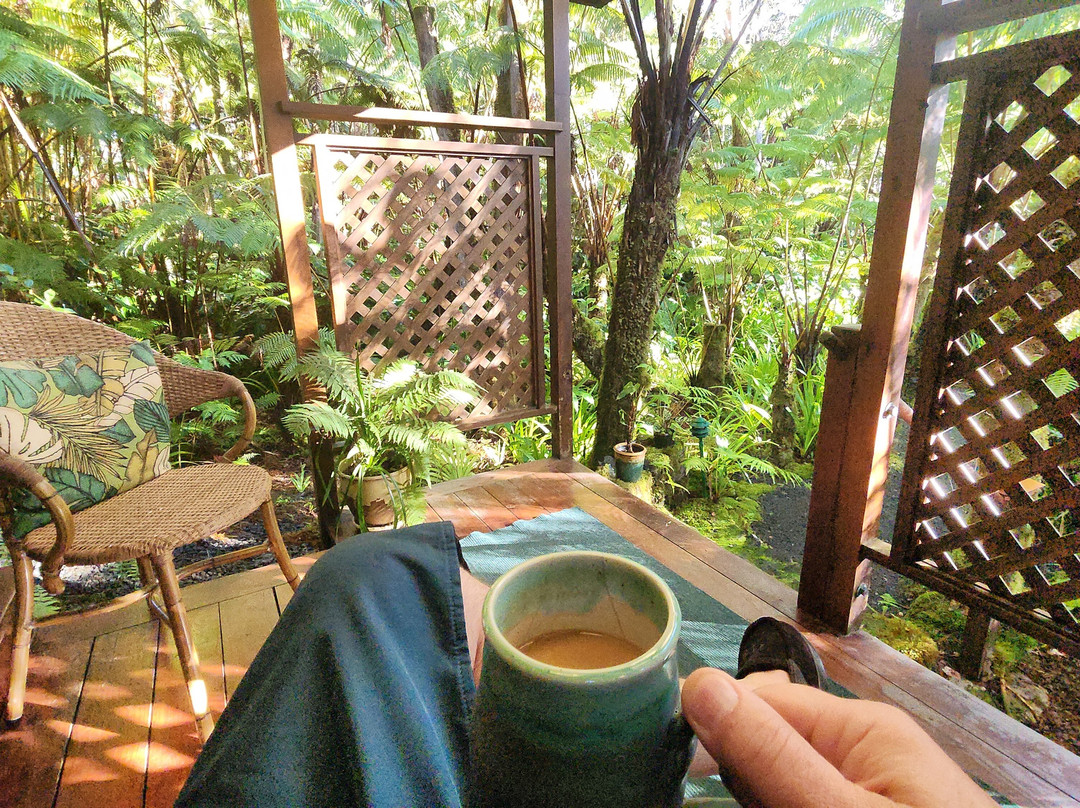 火山雨林休养所主图