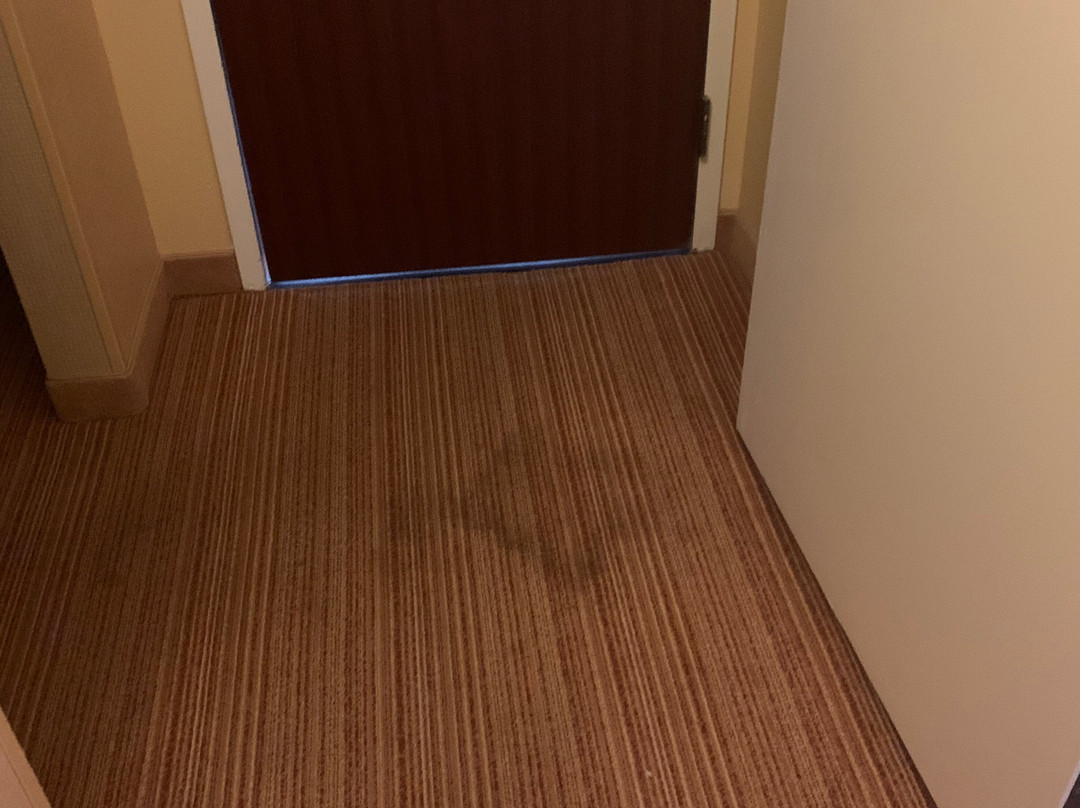 Courtyard by Marriott Florence主图