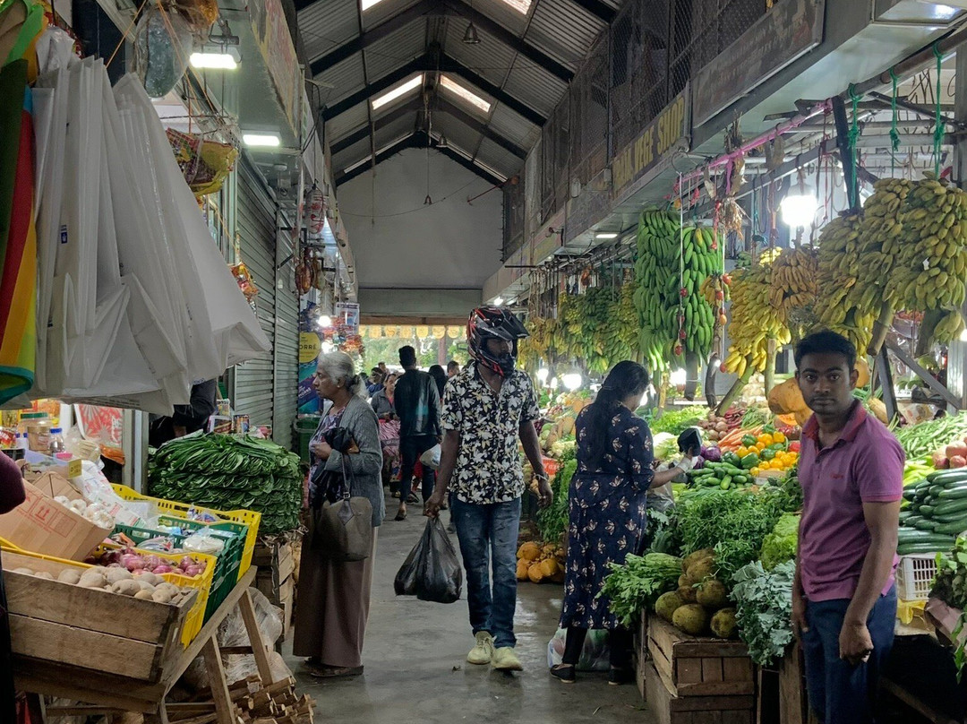 SL Tuk Tuk Travels-康提必去景点