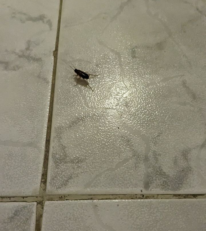 Happy Life Village主图