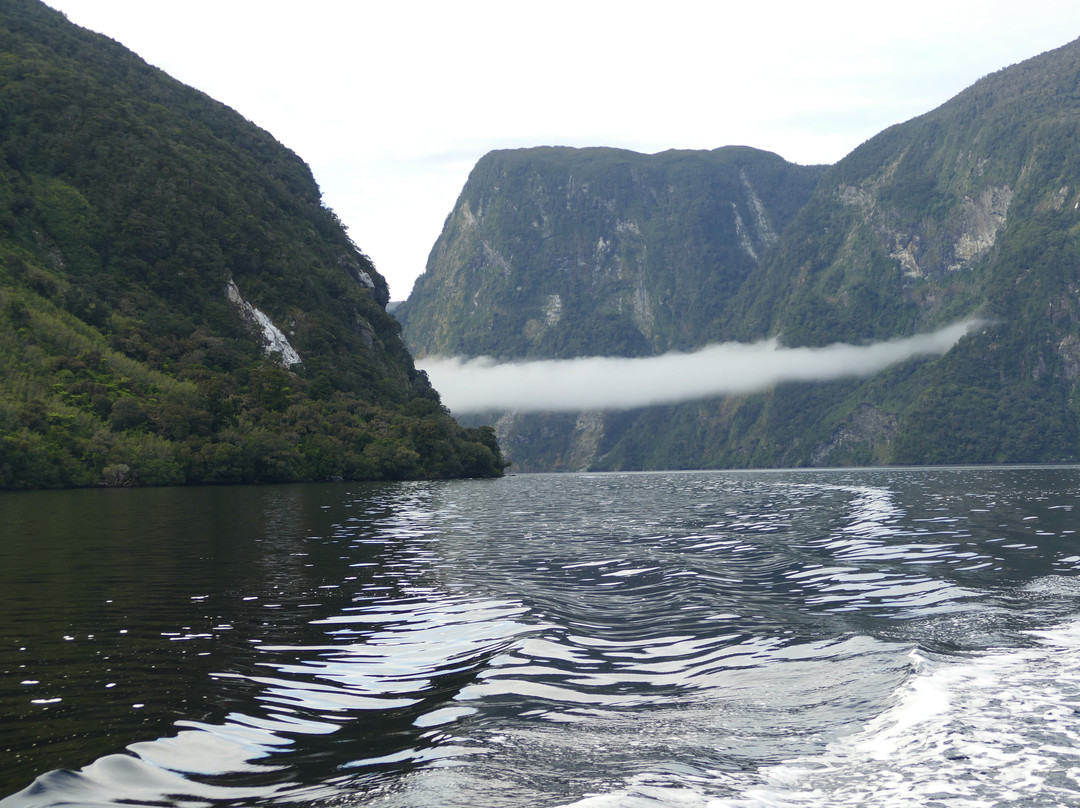 Fiordland Expeditions - Day Tours景点图片