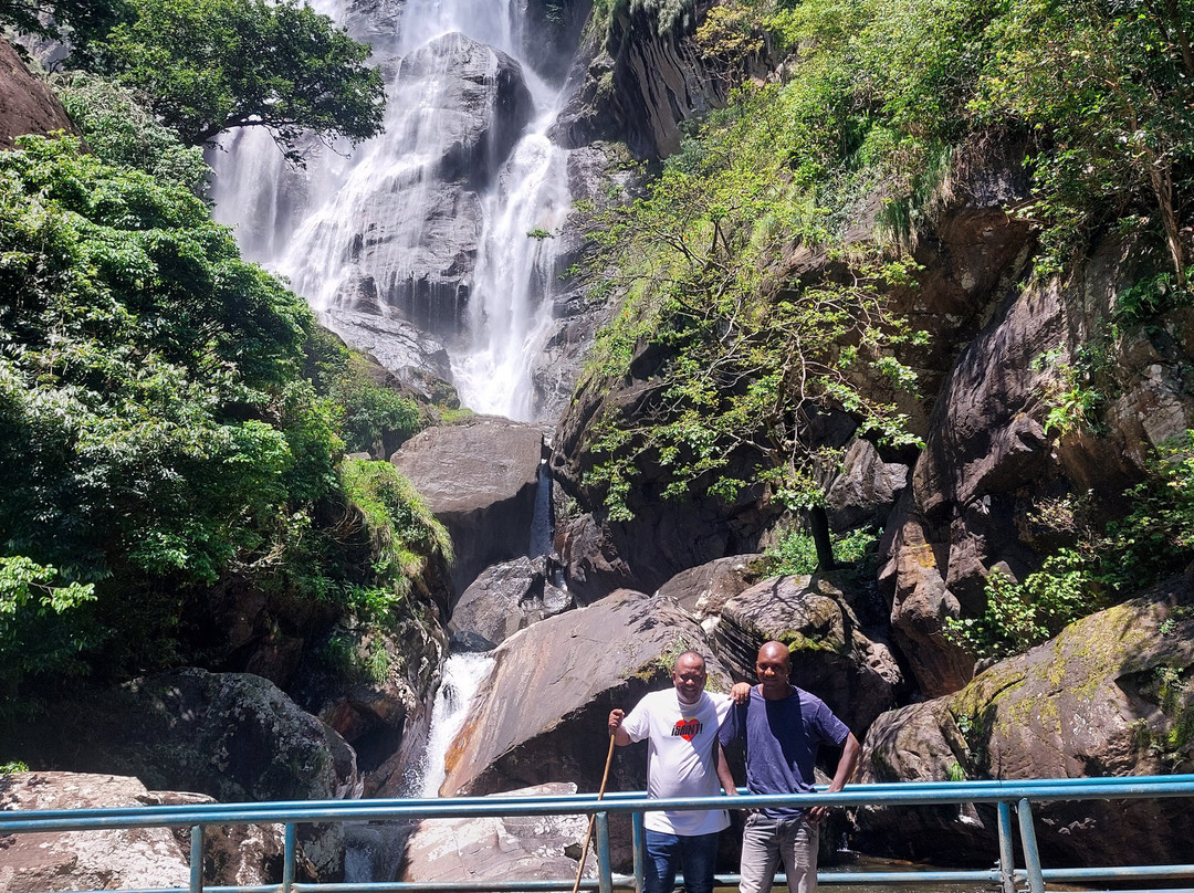 Udzungwa Mountains National Park-莫洛哥罗必去景点
