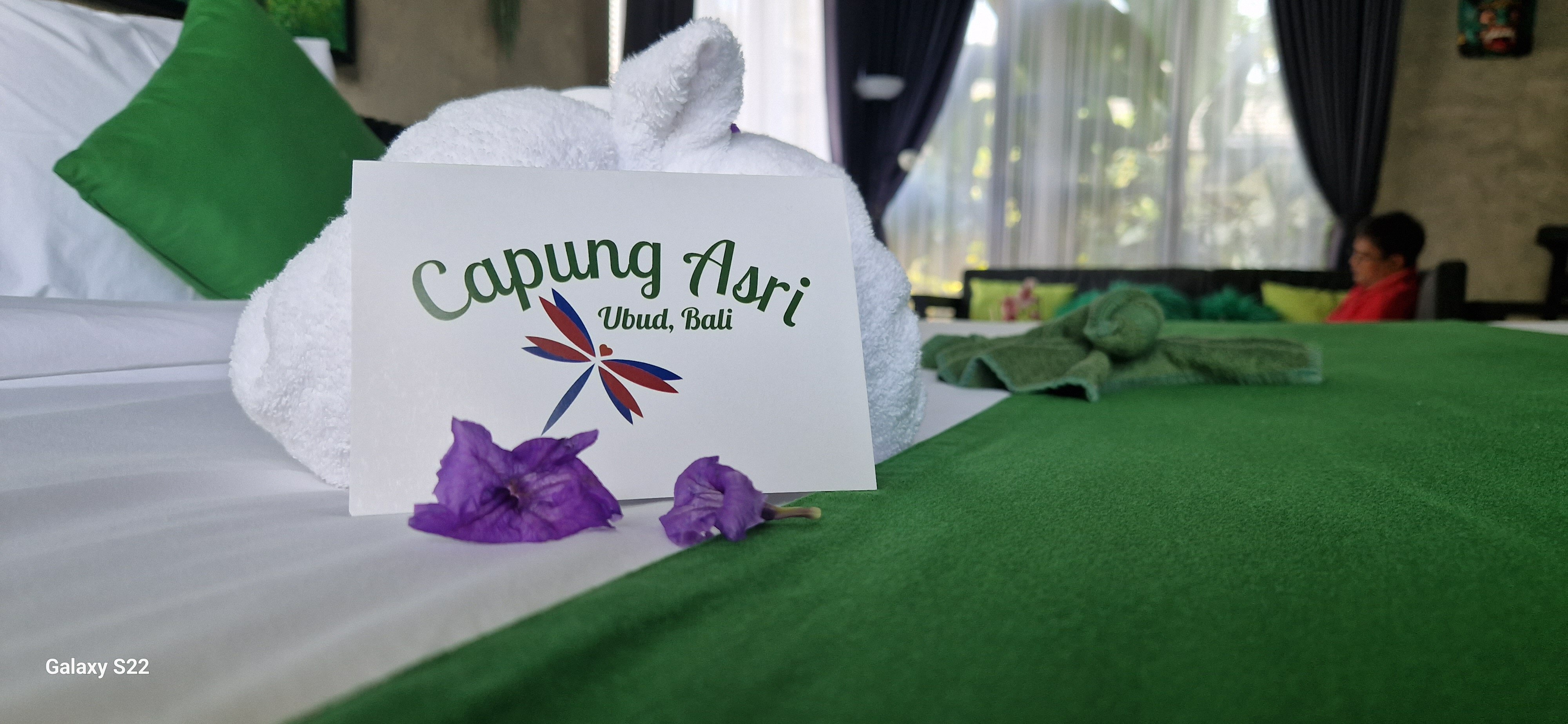 Capung Asri Eco Luxury Resort-客卧