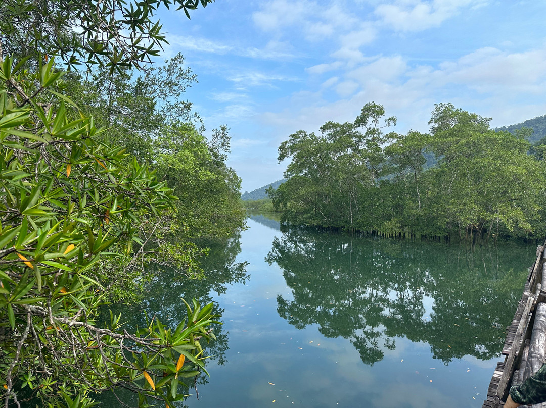 Mecana Ecohotel主图