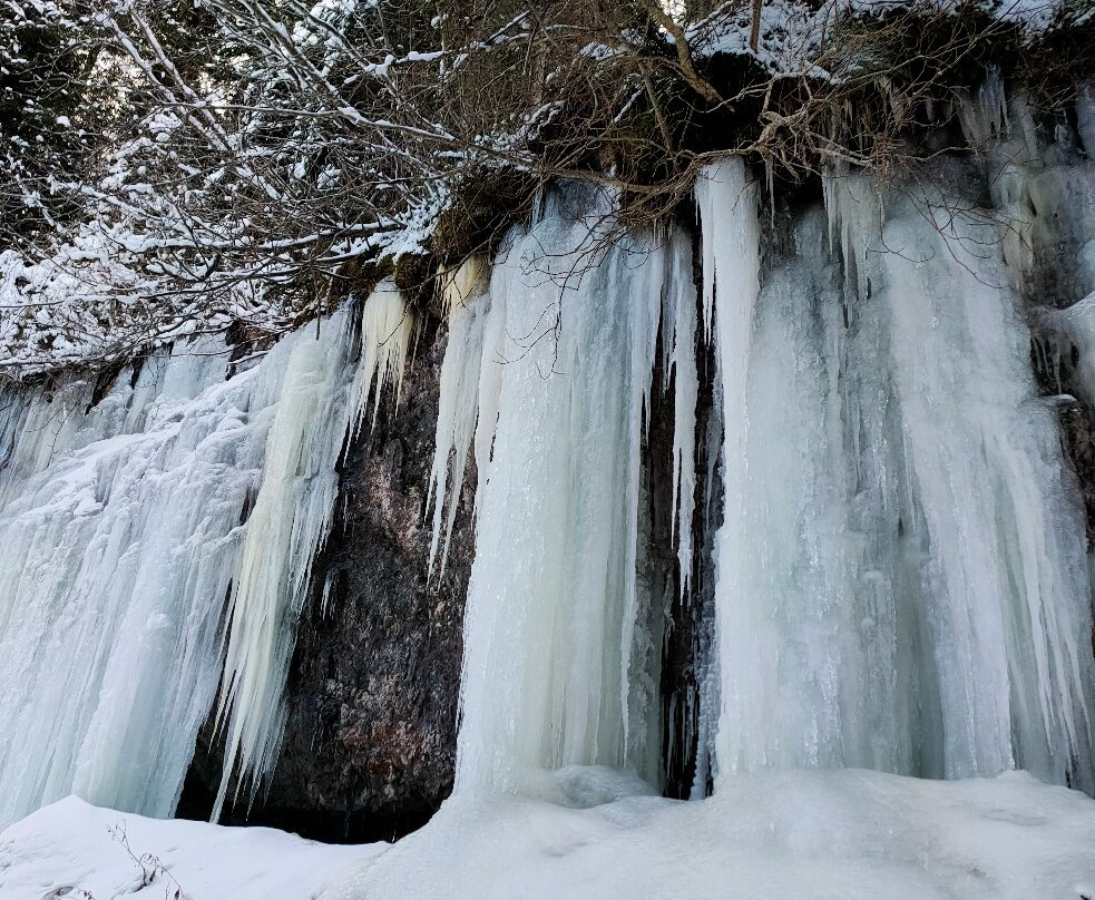 Vivere Wild Escursioni e Avventure-里米尼必去景点