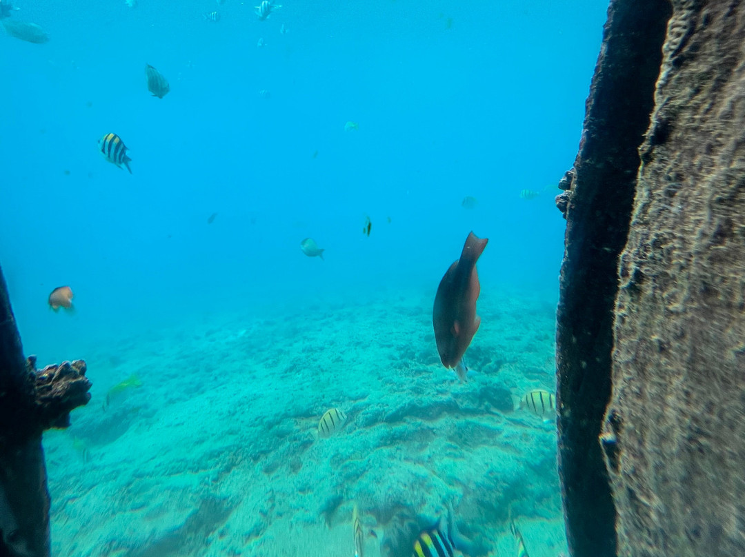 Miyakojima Marine Park景点图片