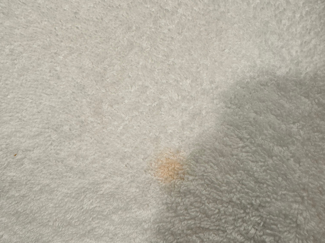 Tru by Hilton Lithia Springs主图