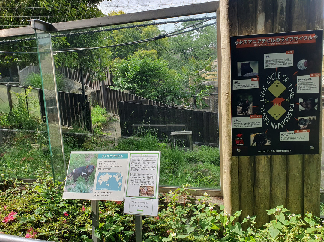 Tama Zoological Park-日野市必去景点