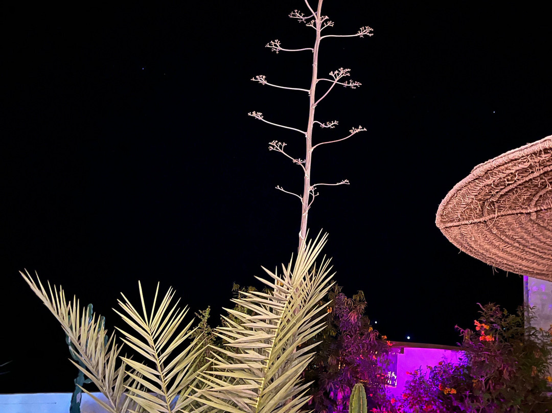 Villa Jardin de L'ocean主图