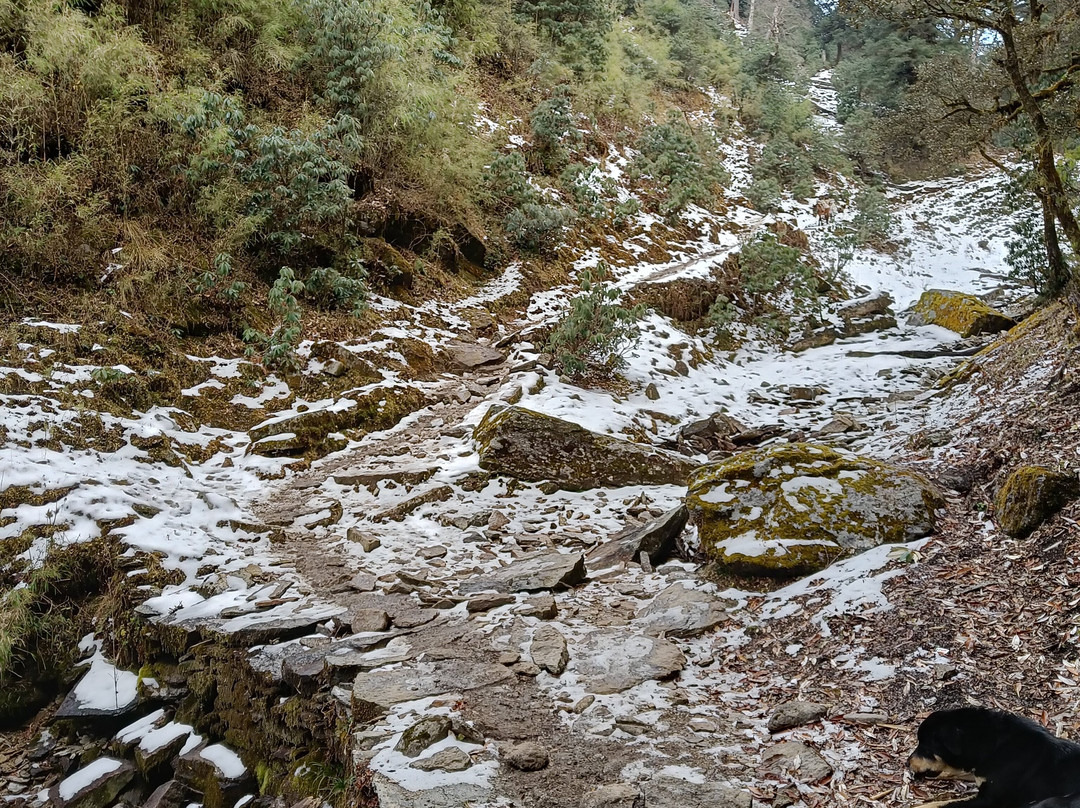 White World Expeditions-里希克虚必去景点