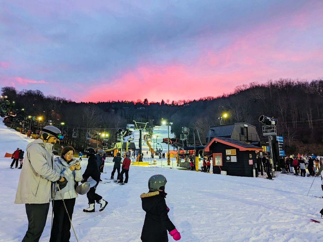 Sugartop Resort主图