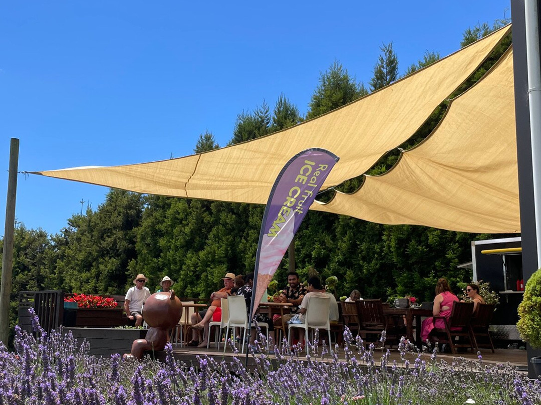 Waihi Lavender Farm景点图片