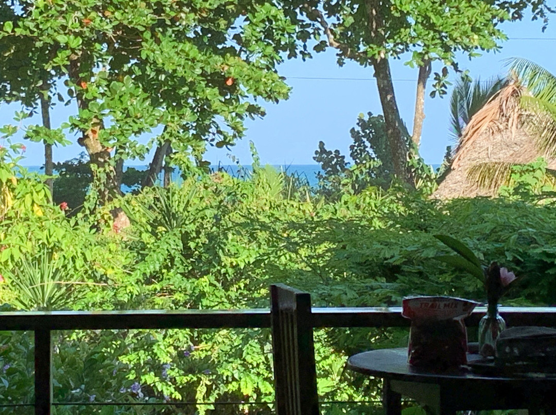 The Hummingbird主图