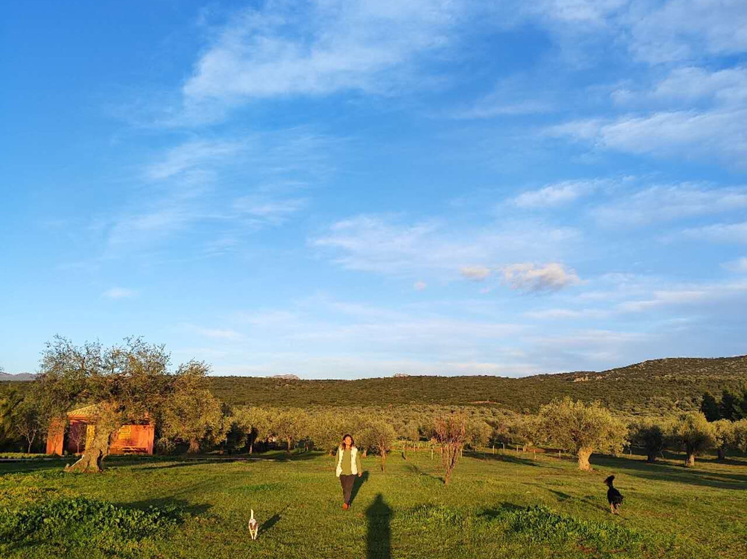 Eumelia Organic Agrotourism Farm主图