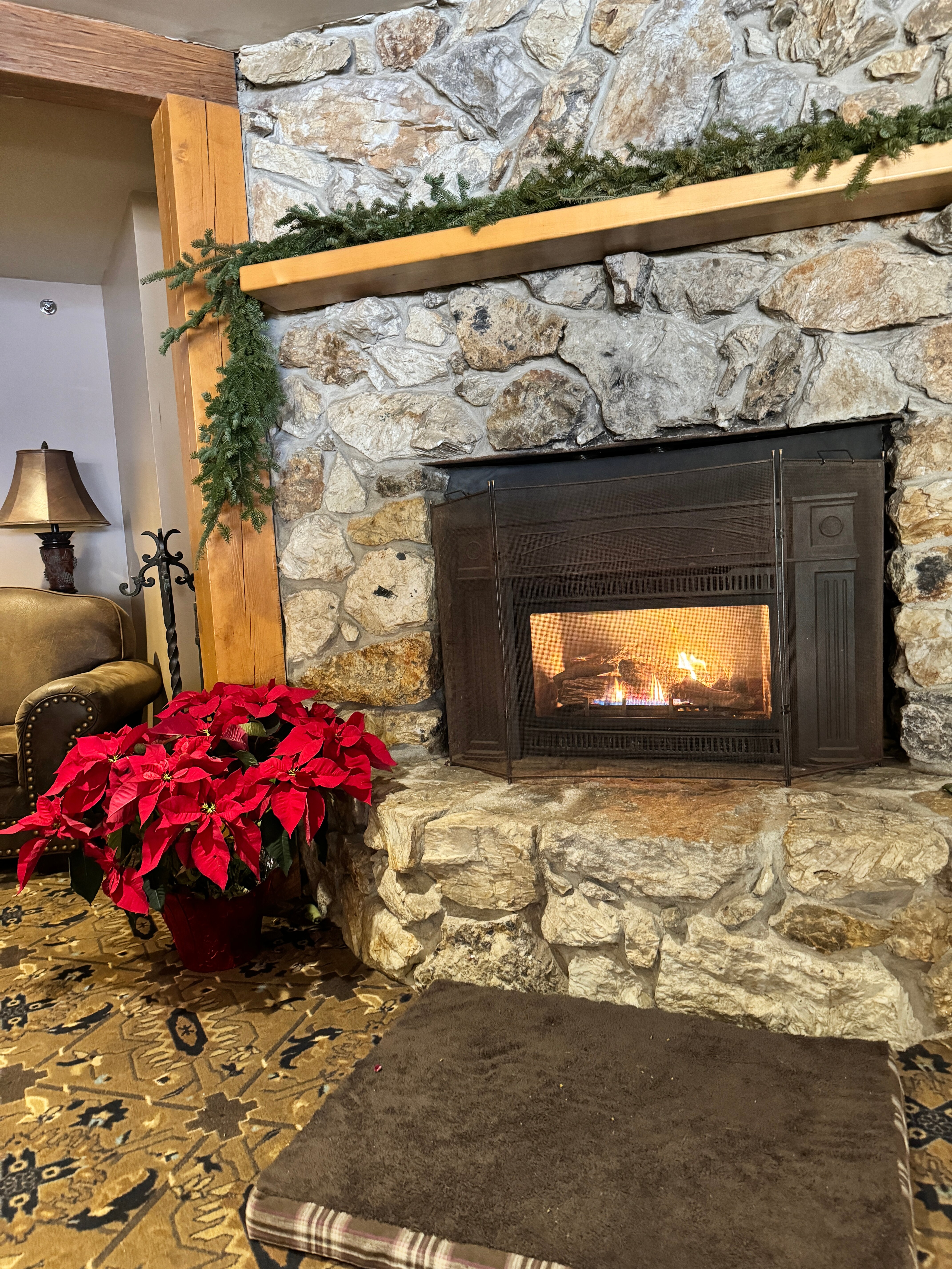 Snow Cap Inn-官方